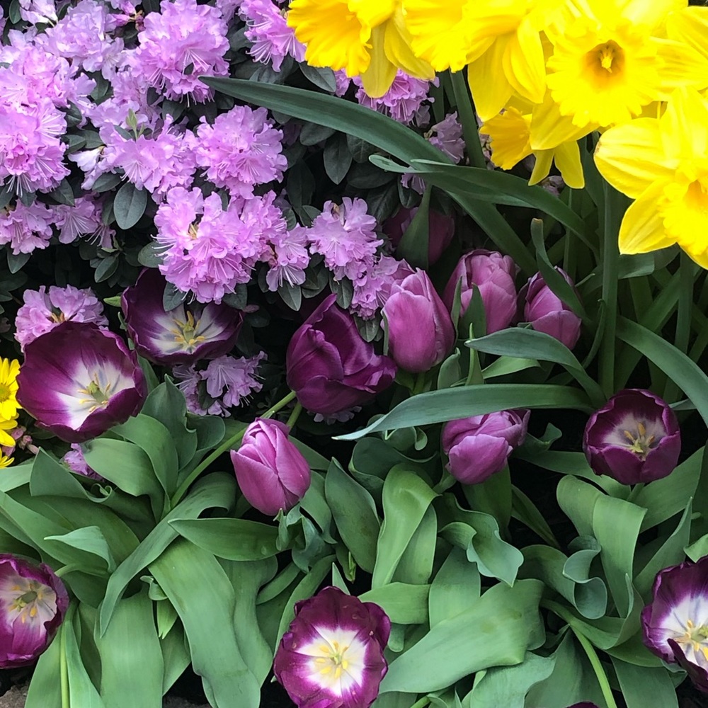 Meet your Posher, Madeline